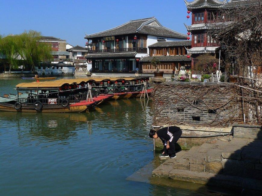 小僵尸射飞鸟